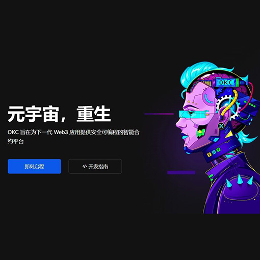 topay下载页面展示